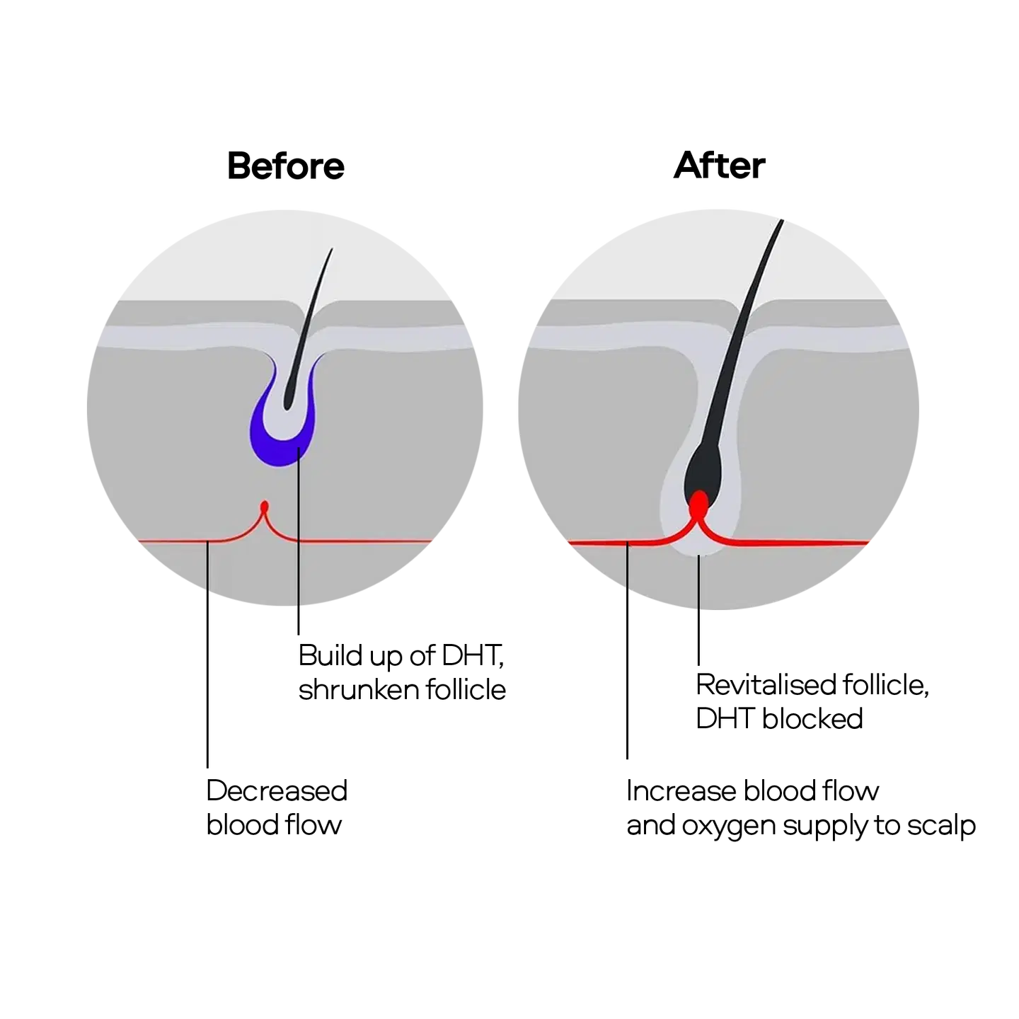 Scientific Approach to Hair Restoration