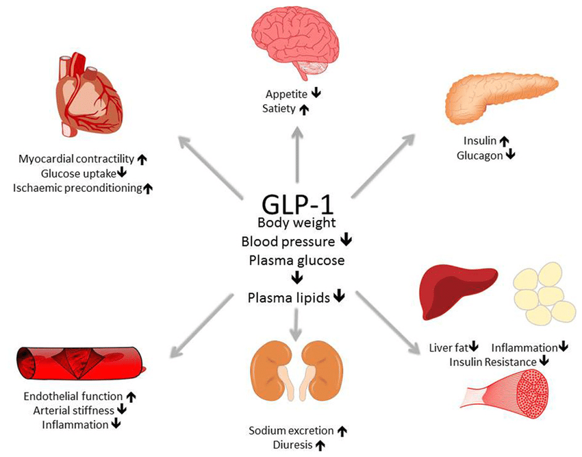 The Science Behind GLP-1 Treatments